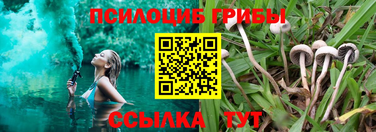 Галлюциногенные грибы Cubensis  Псилоцибиновые грибы ЛСД  Новосибирск  Вход с VPN 