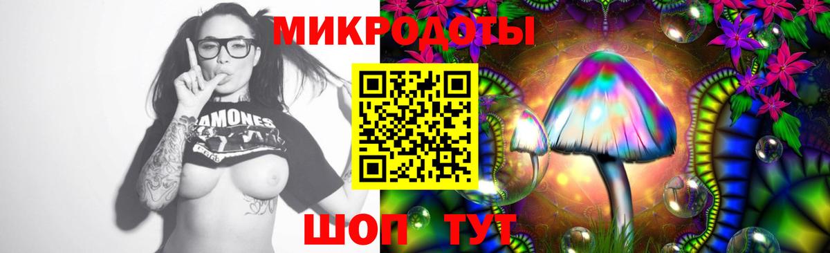 Псилоцибиновые грибы мицелий Новосибирск